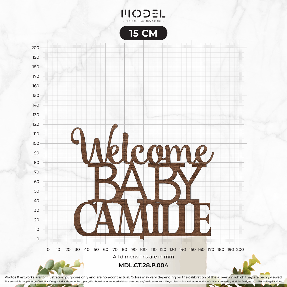 Name + Welcome Baby 2